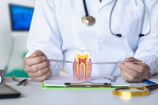 Best Emergency Wisdom Tooth Extraction in Hartford, SD
